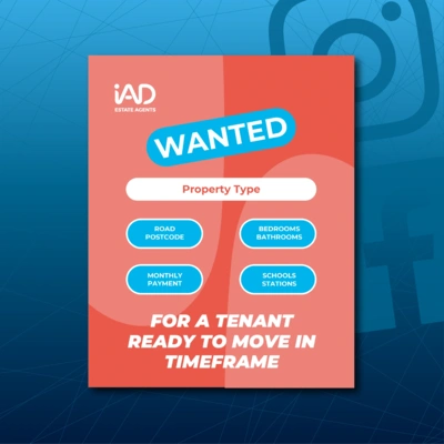  Wanted Lettings Graphic