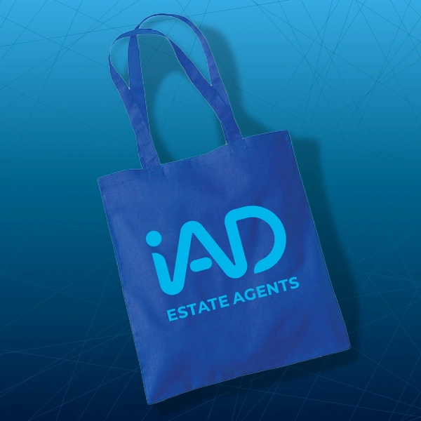  Bag V2